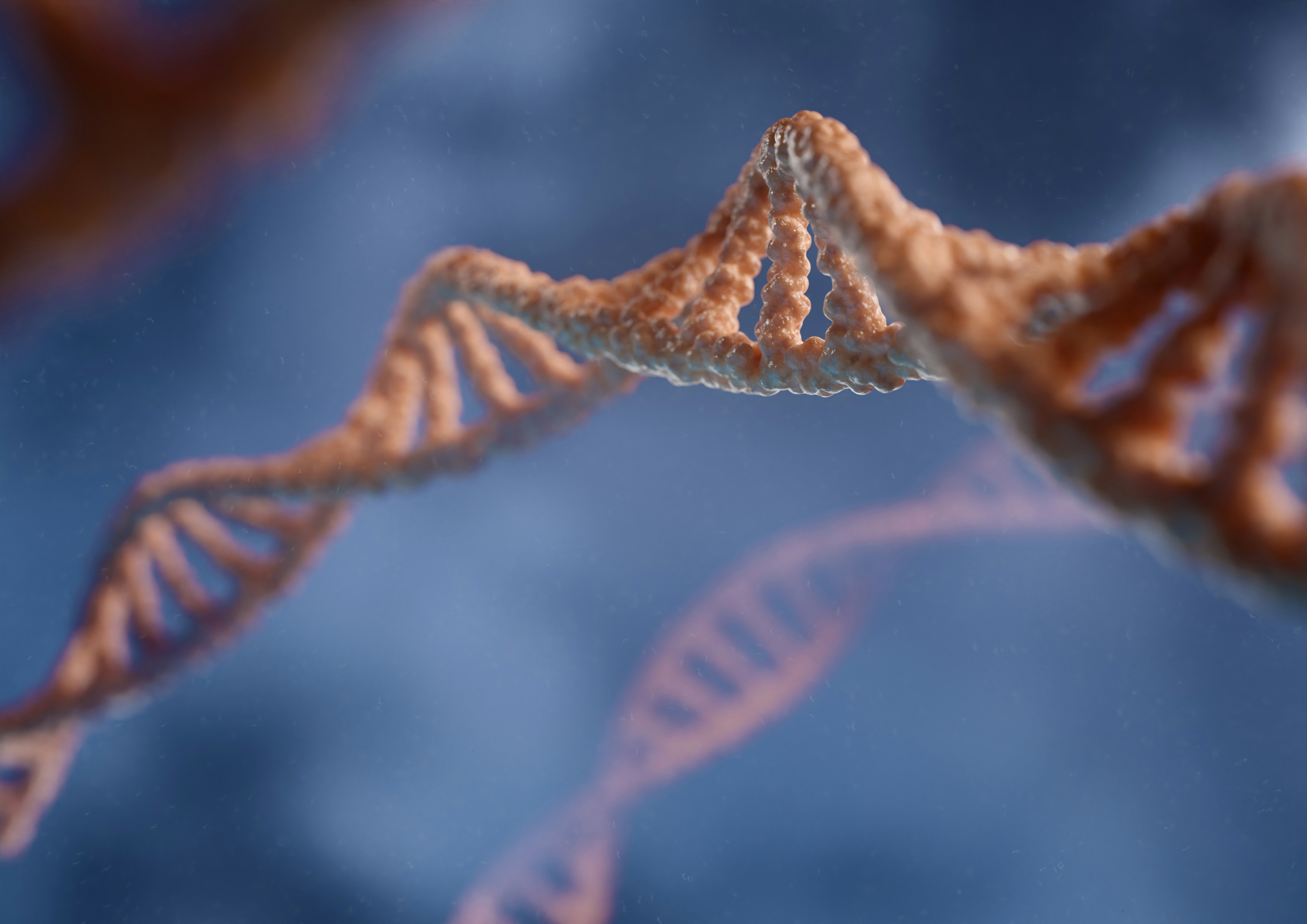 DNA double helix render
