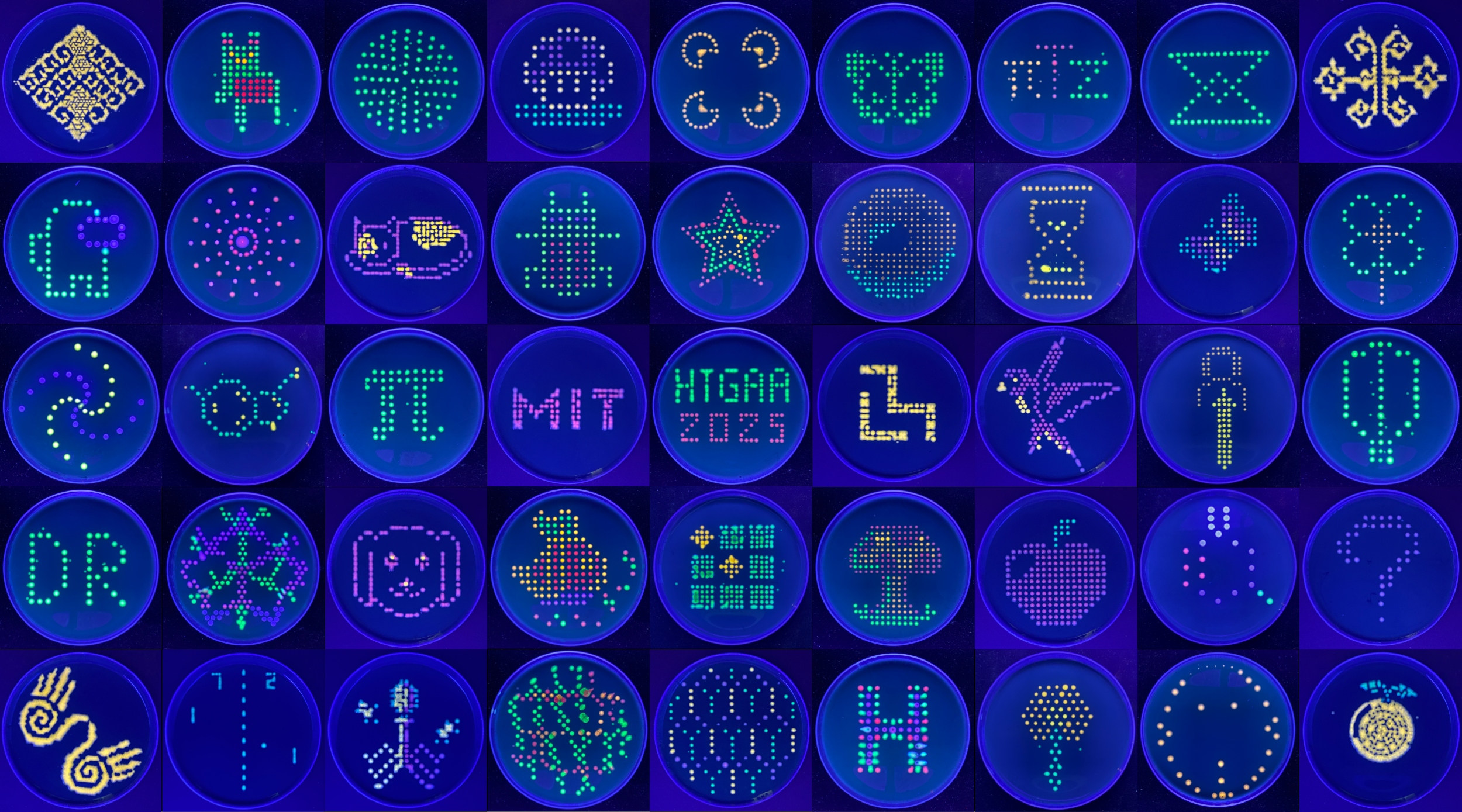 HTGAA project gallery tiles