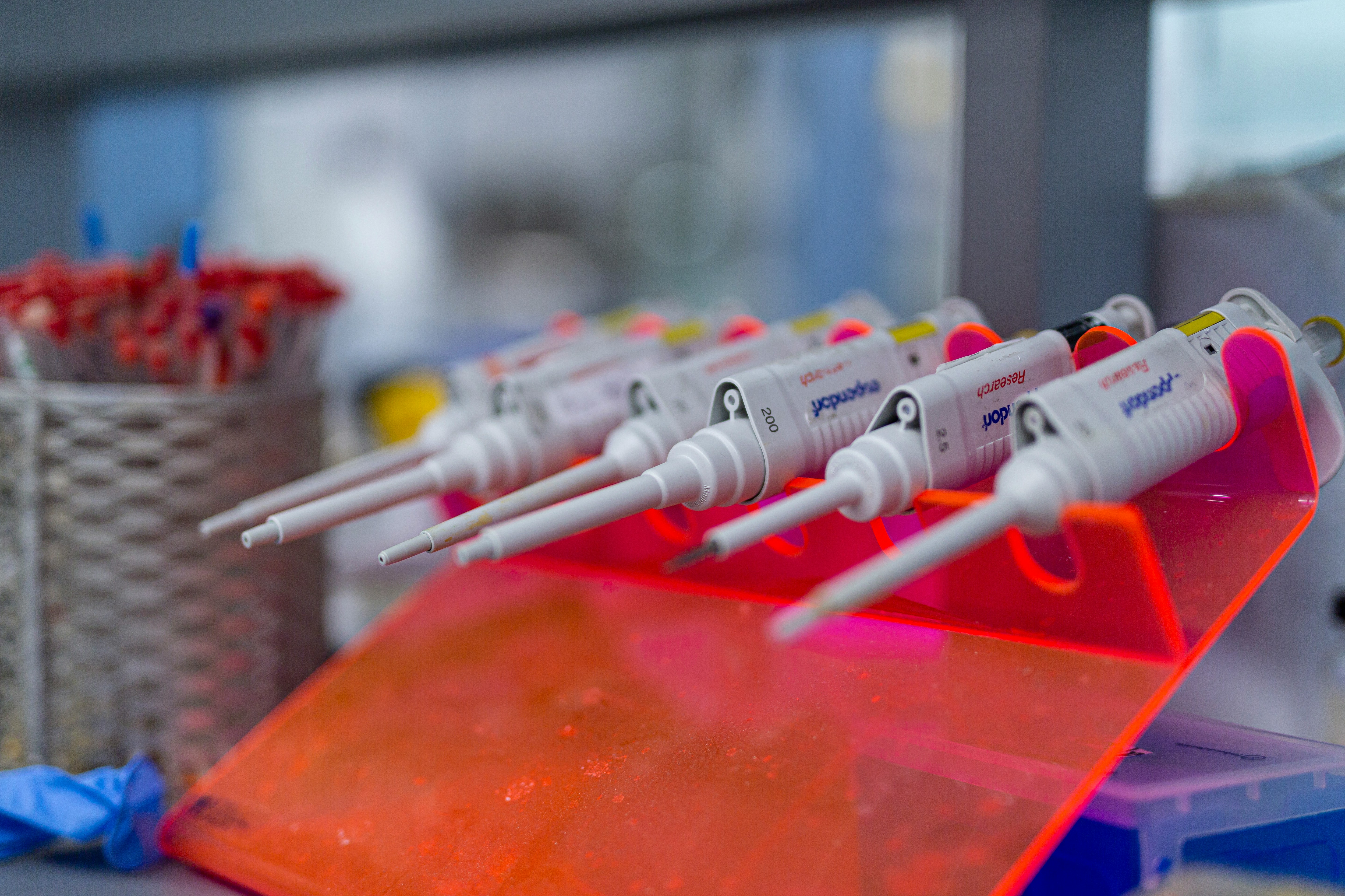 Pipettes in research lab