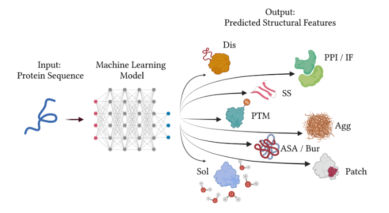 Protein features diagram