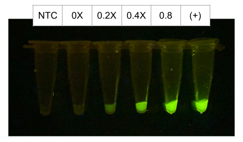 Cell‑free recitation figure