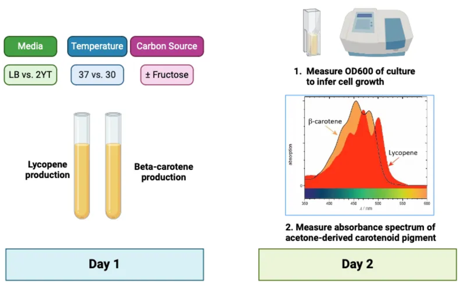 Day 1 / Day 2 workflow