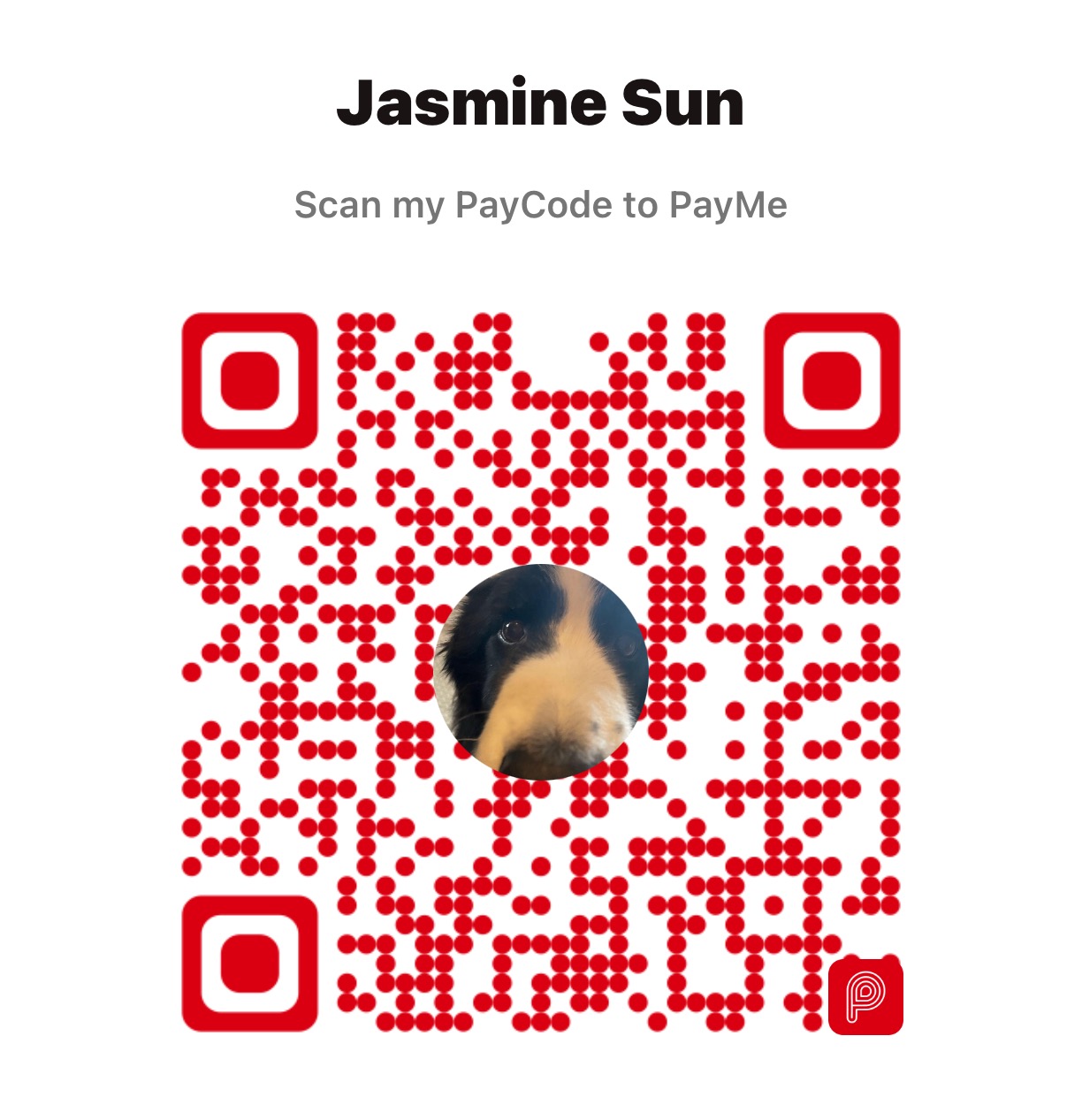 PayMe QR Code