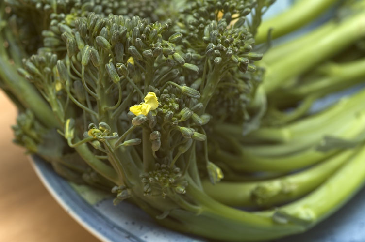 broccolini