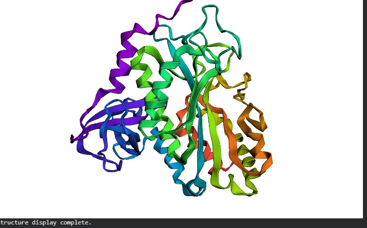 monomer-ESM-Fold