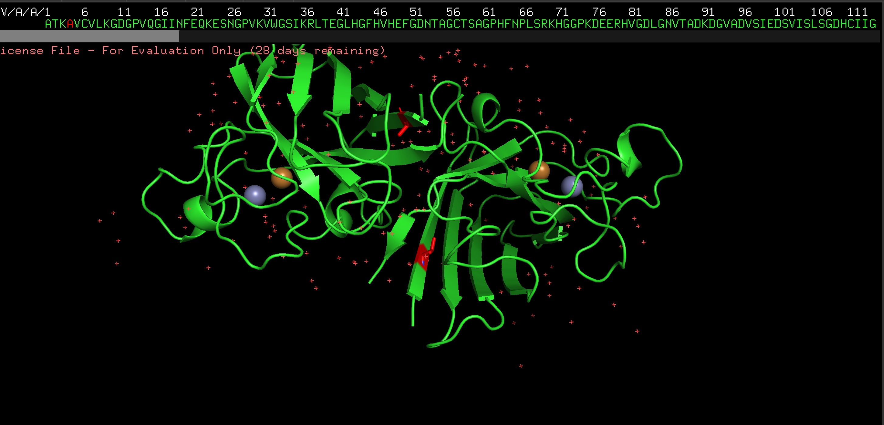 pyMOL-SOD1-A