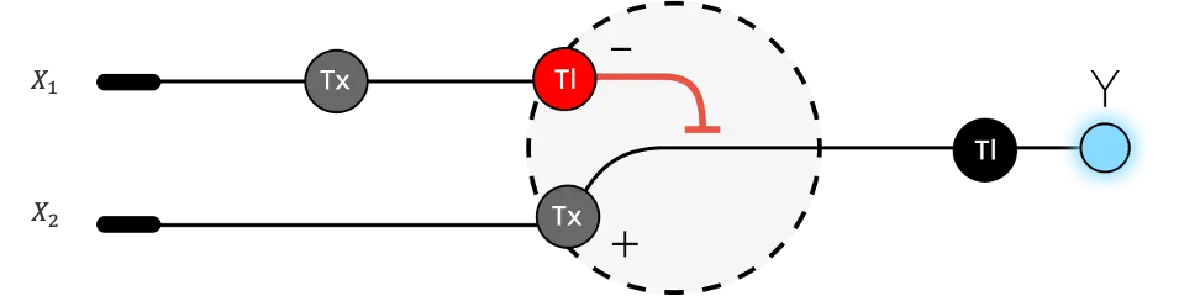 Single-layer perceptron