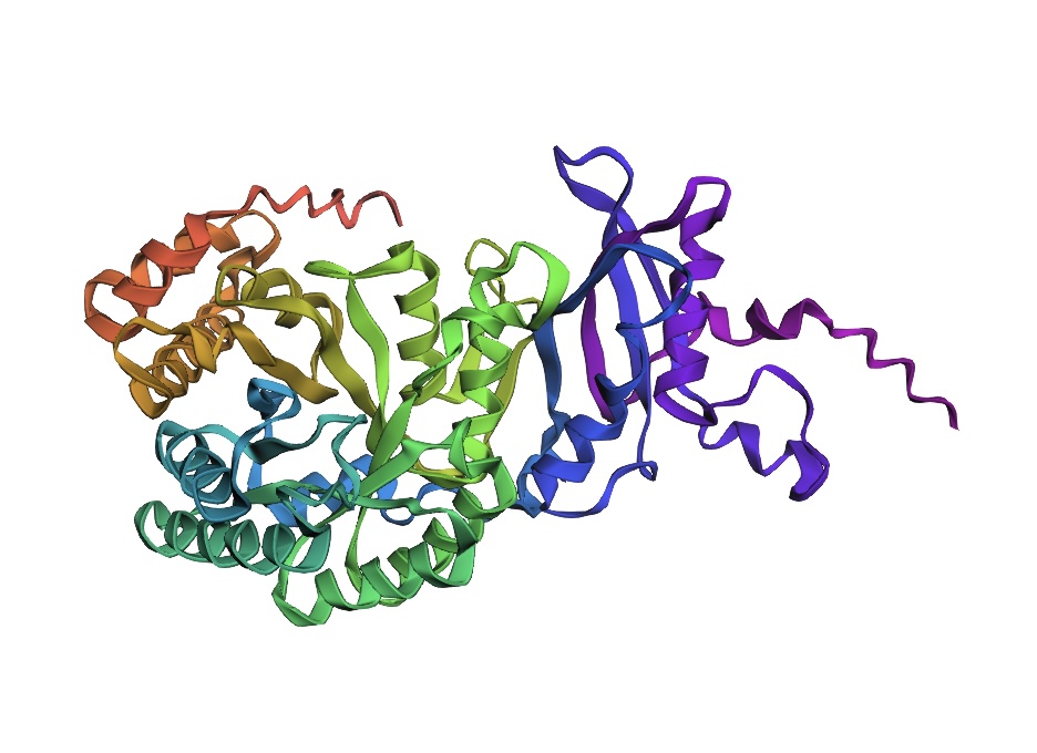 After Mutations Structure