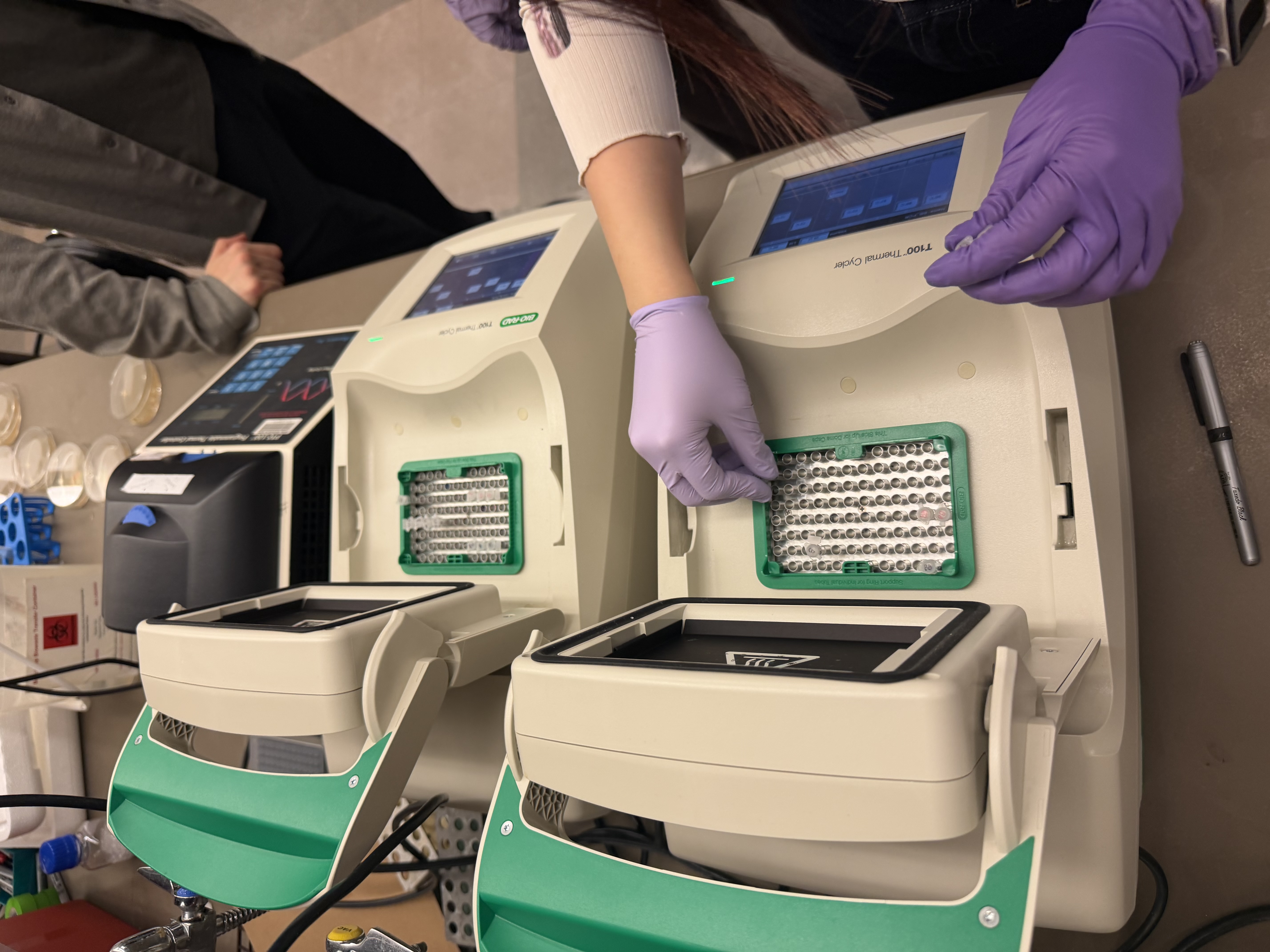 PCR Thermocycler
