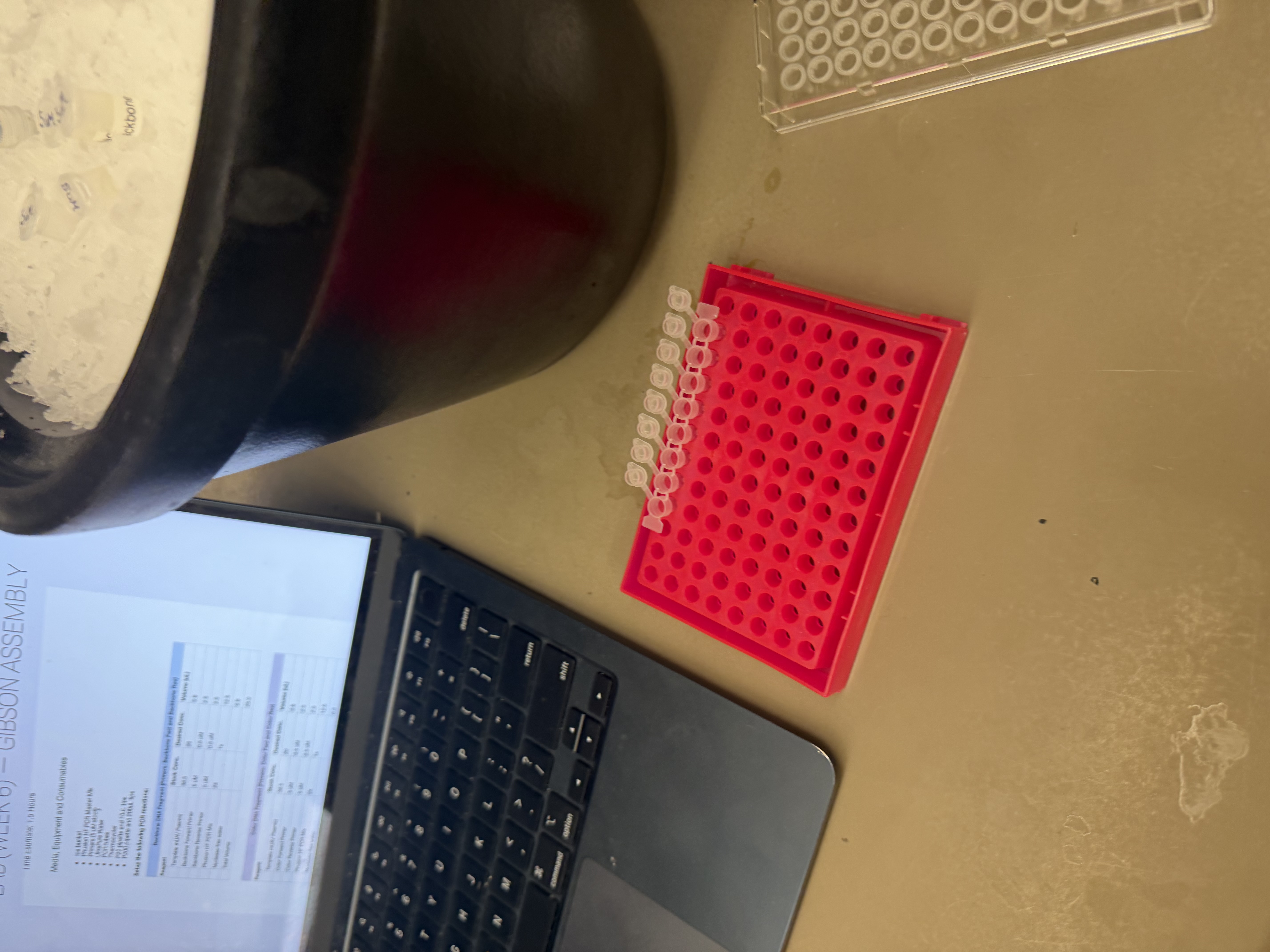 PCR Tubes