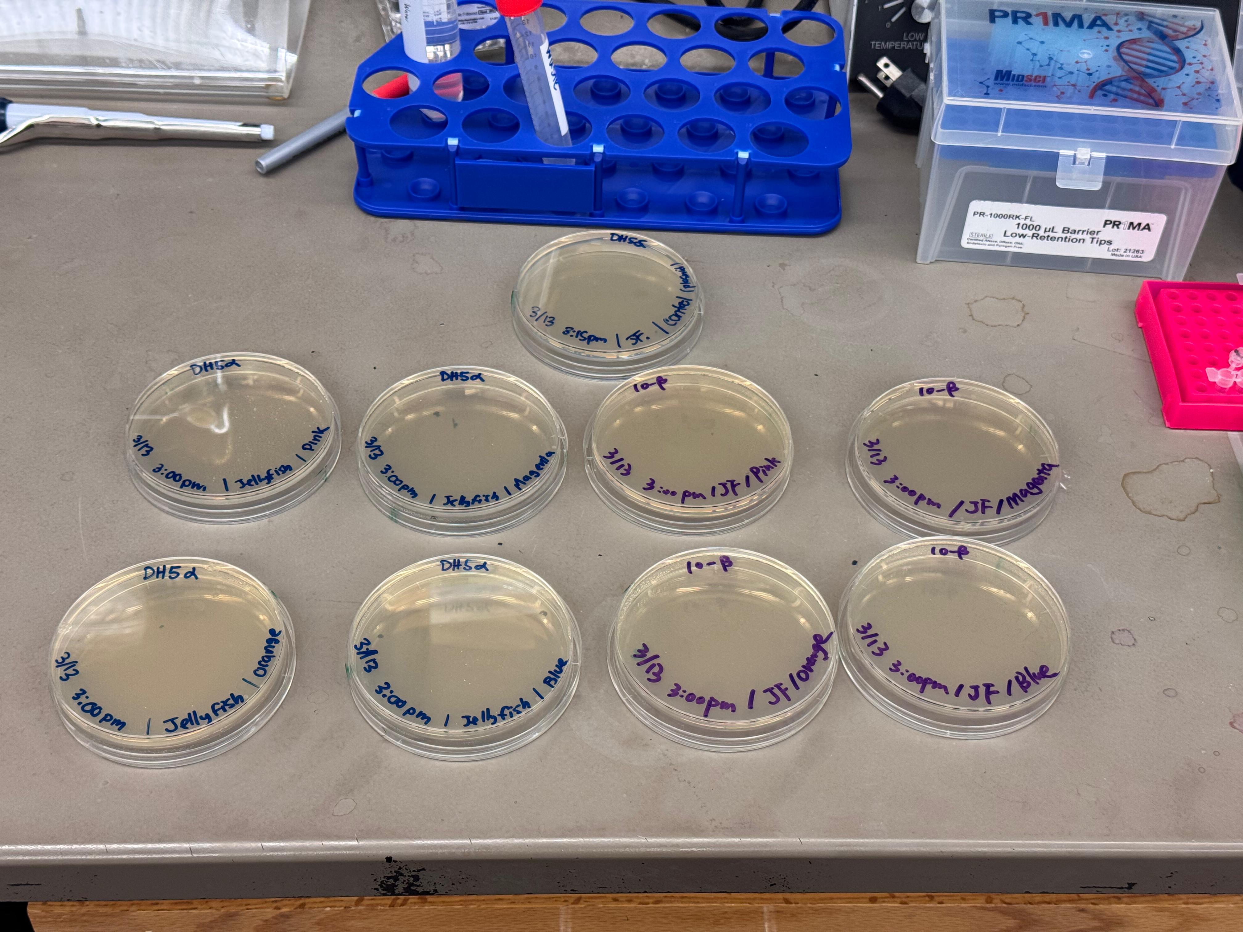 Plates