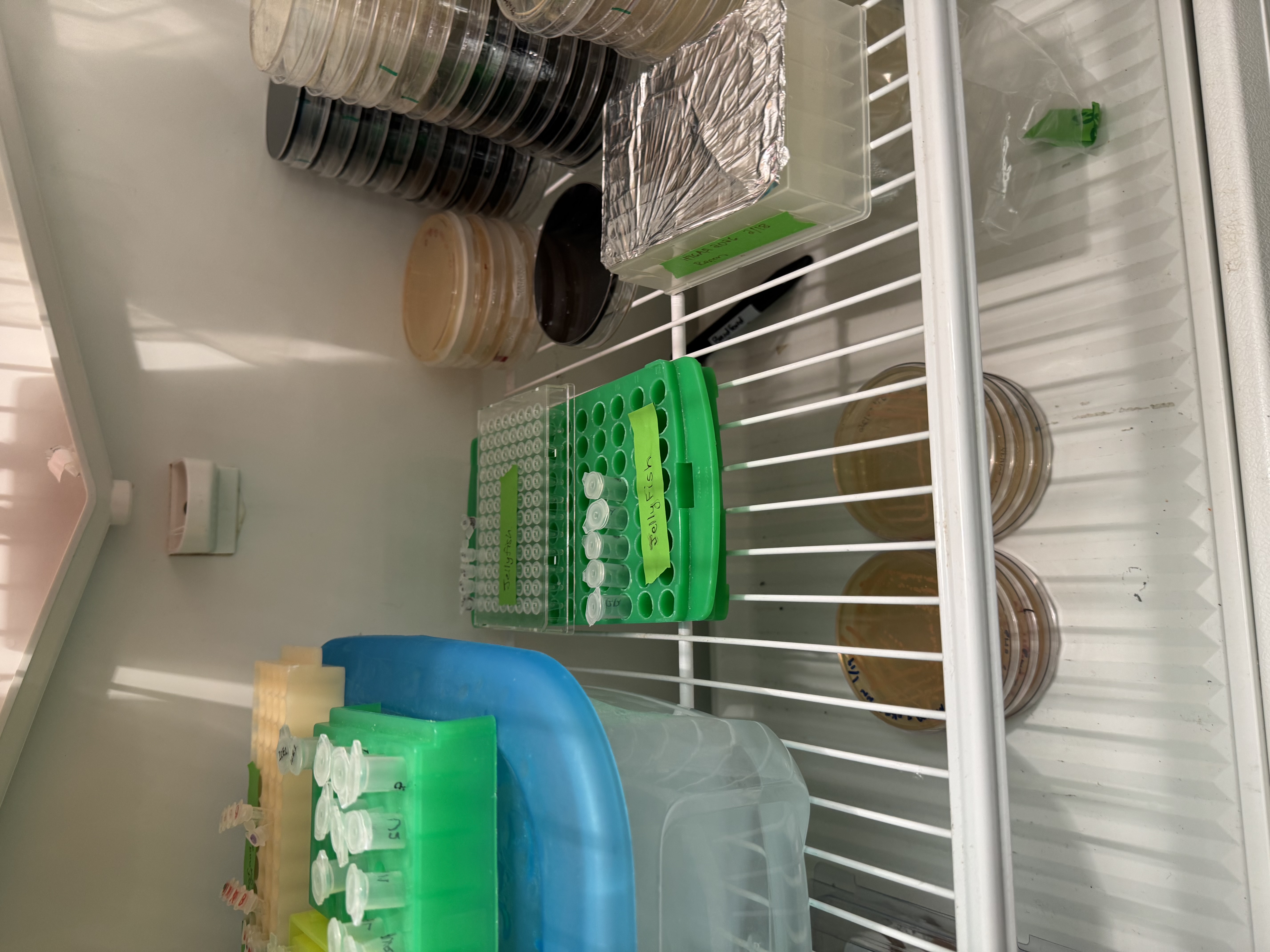 Storage