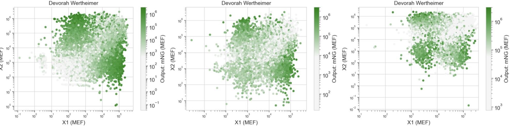 Experimental Results
