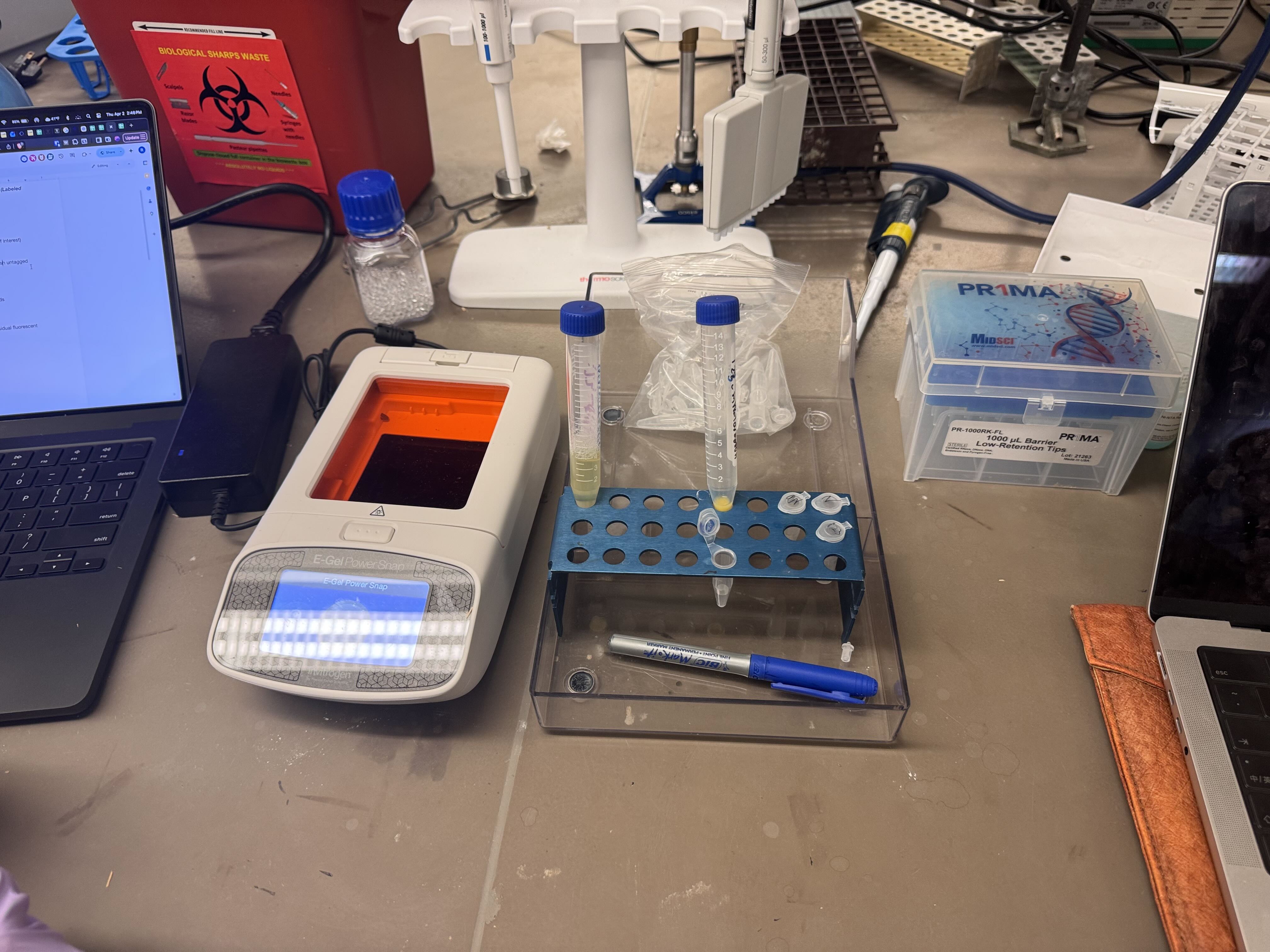 Magnetic Bead Setup