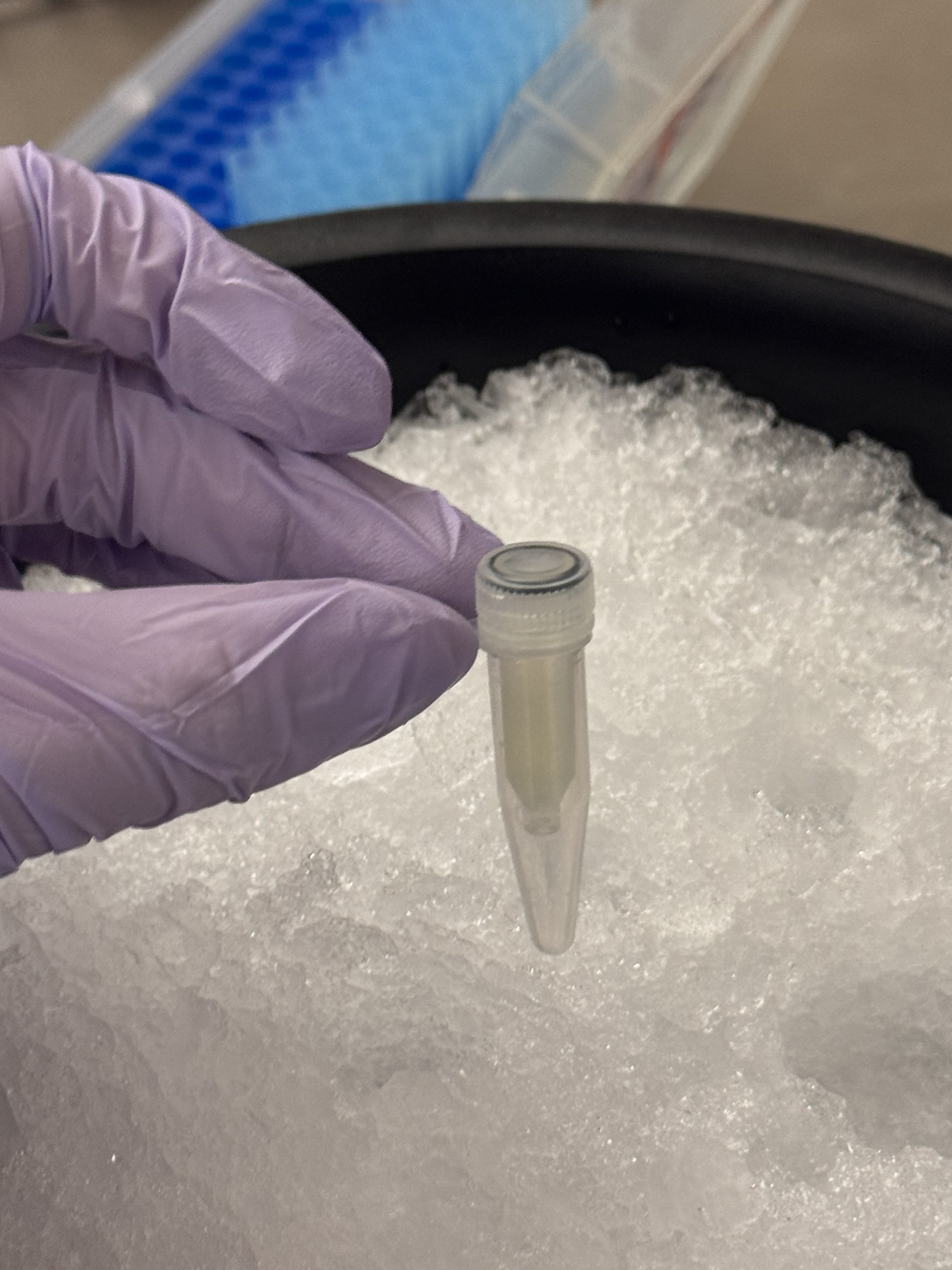 Centrifugation Step