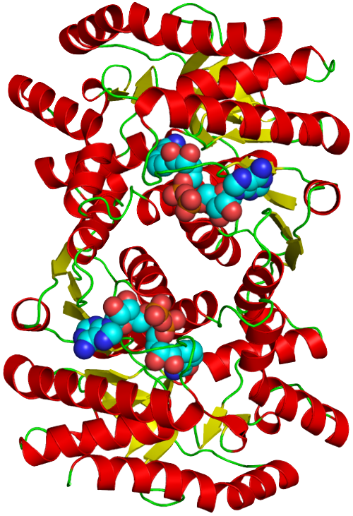 MDH