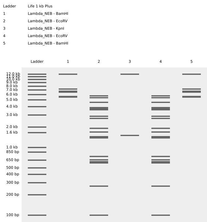 Gel art: victory pose with crying face