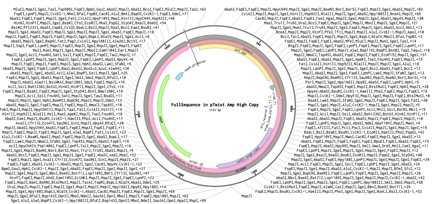 Circular plasmid map in Benchling