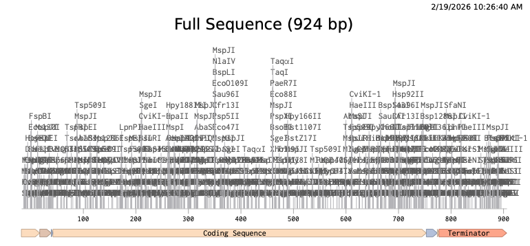 Full linear sequence annotated in Benchling