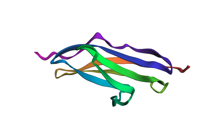 ESMFold predicted structure — after sequence mutations