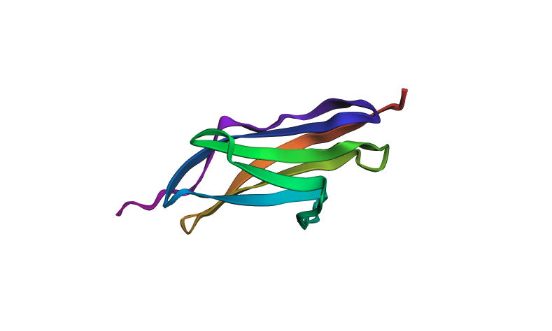 ESMFold predicted structure — original sequence