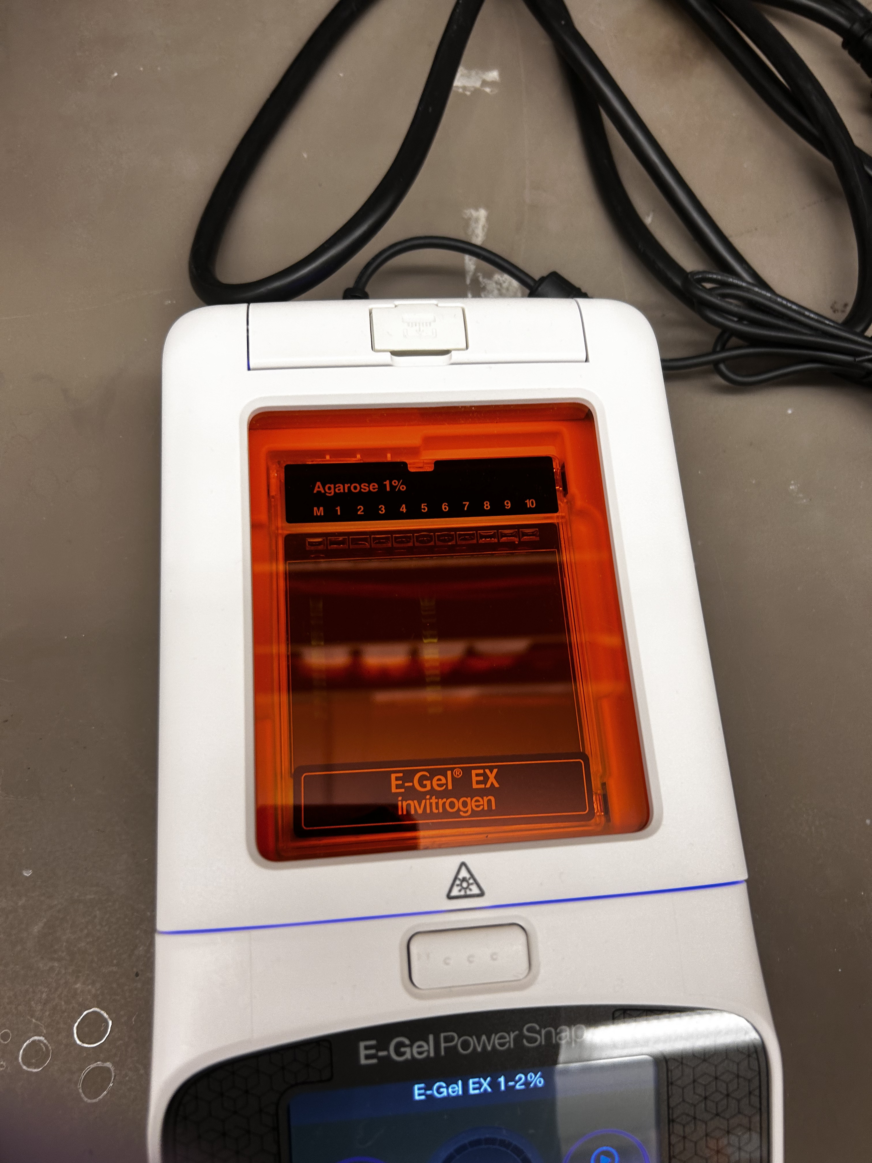 gel image