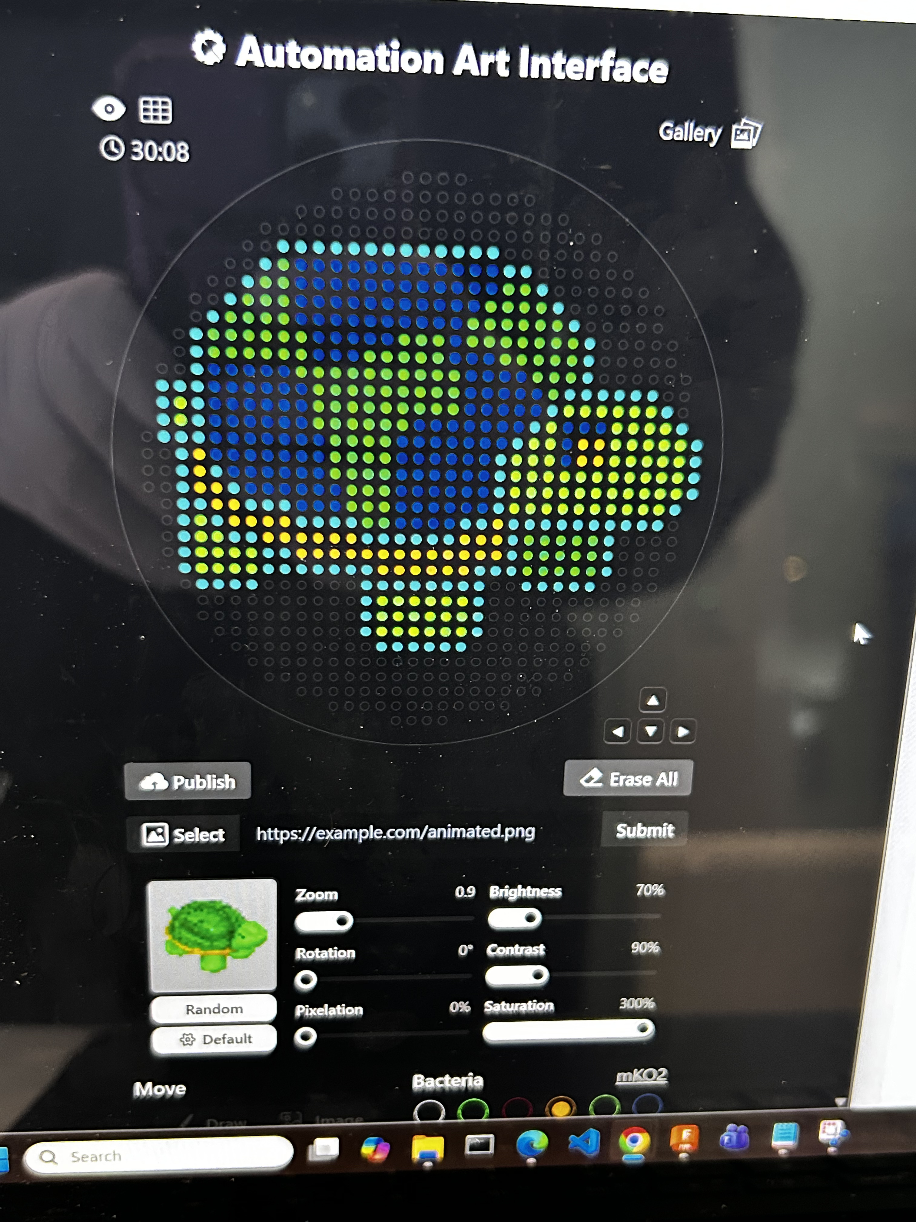 turtle image pixels