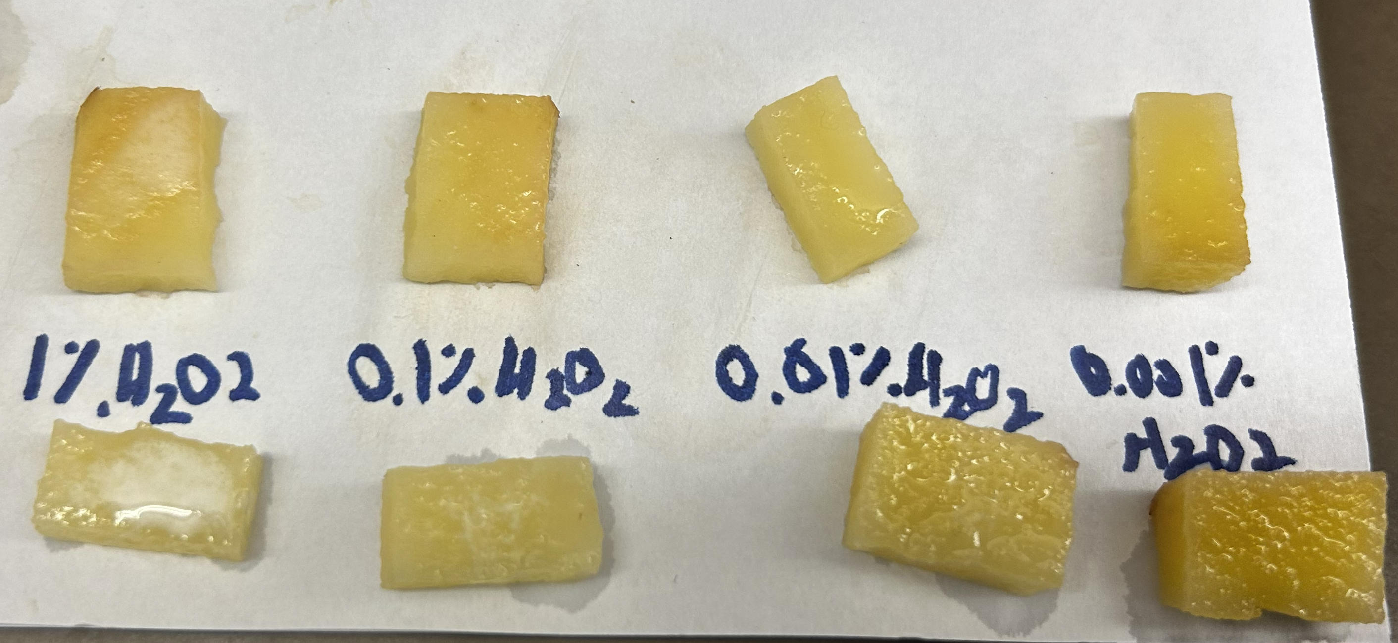Potato Calibration Curve