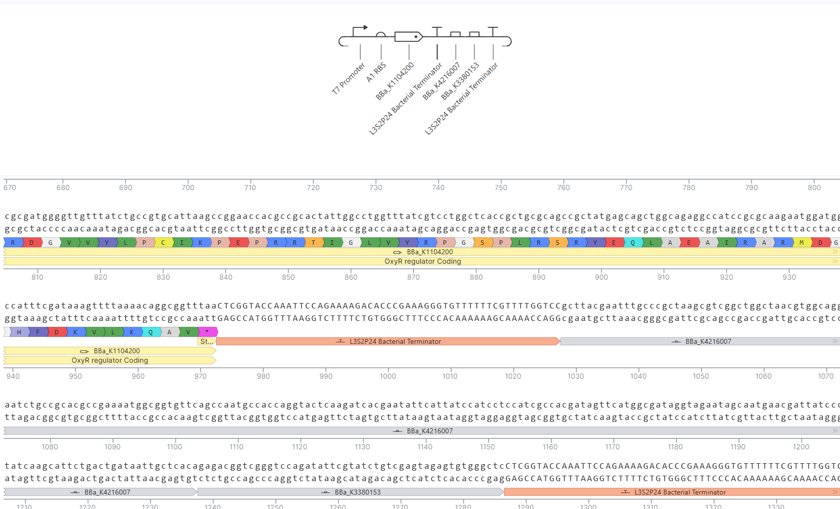 WHat my DNA looks like