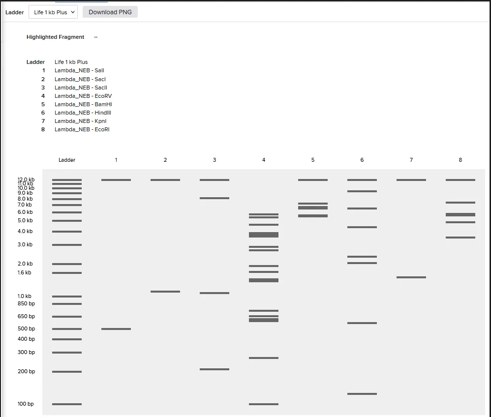 Firefox Screenshot 1