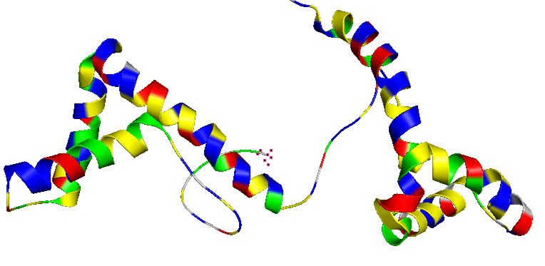 HMGB1 colored by residue type. Hydrophobic: Yelow; Polar:Green, Positive: Blue; Negative: Red Gly: grey