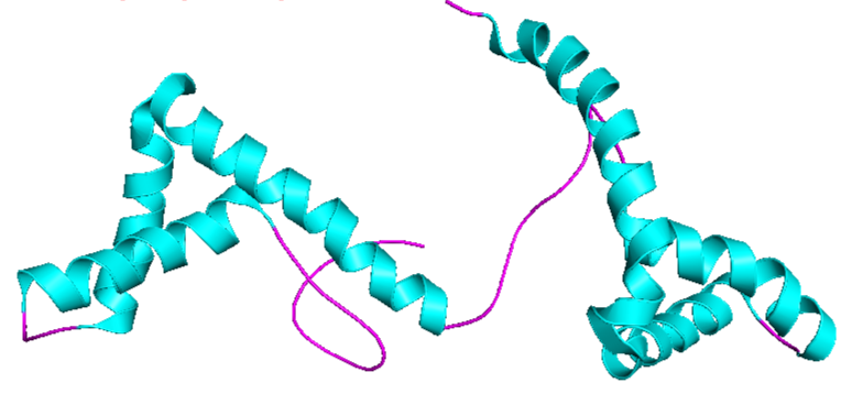 HMGB1 colored by 2° structure. Helices: cyan; Loops: purple