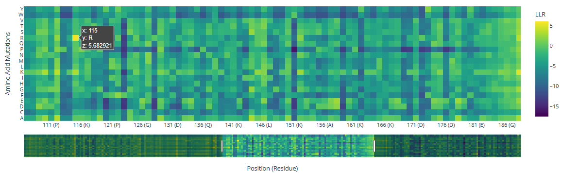 Heatmap HMG Box A