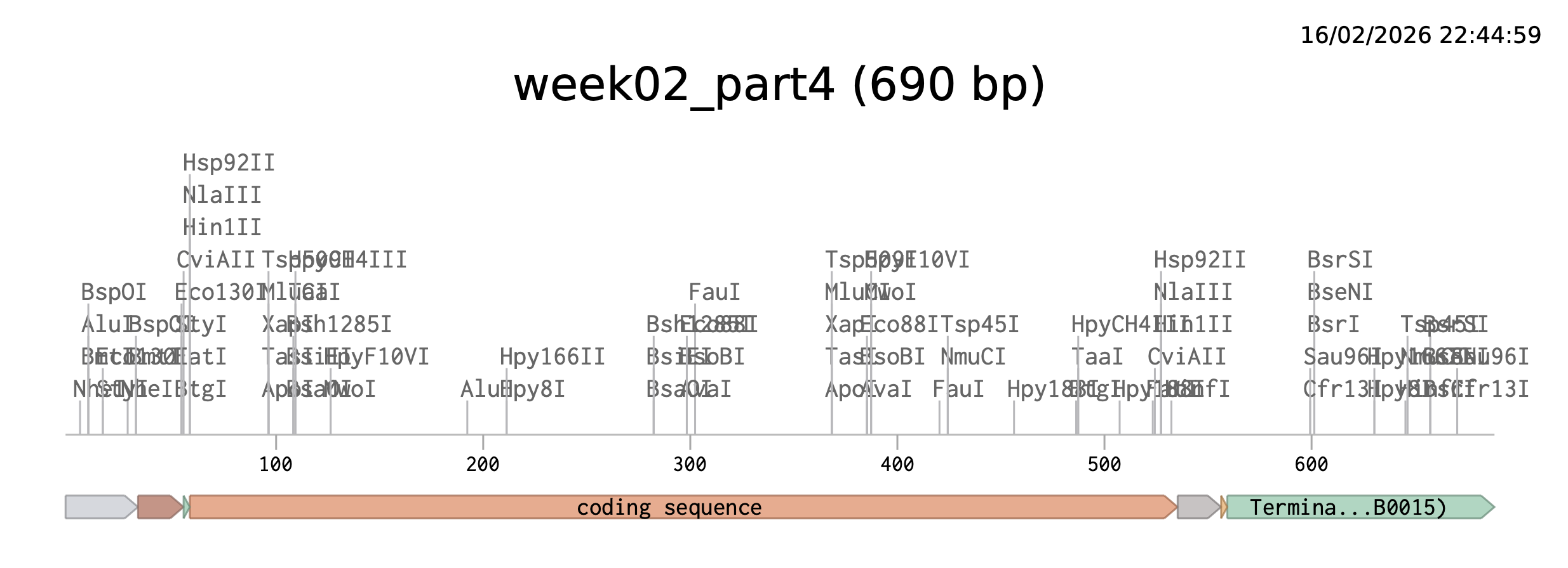 Benchling linear map of the insert