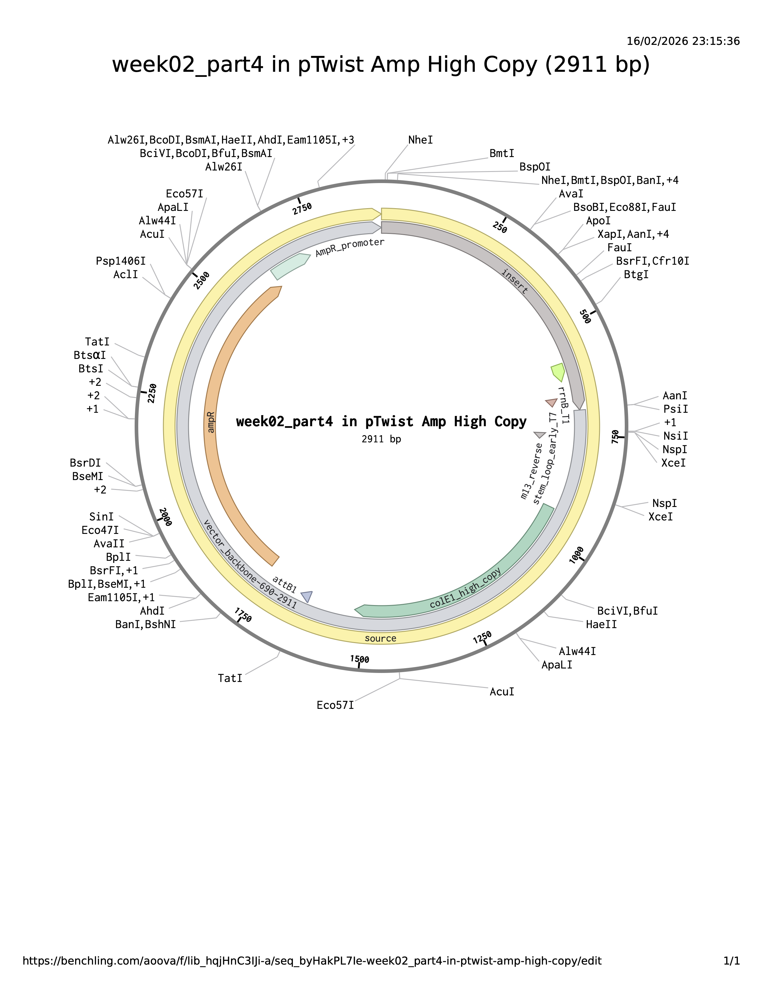 Benchling translation / stop-codon check
