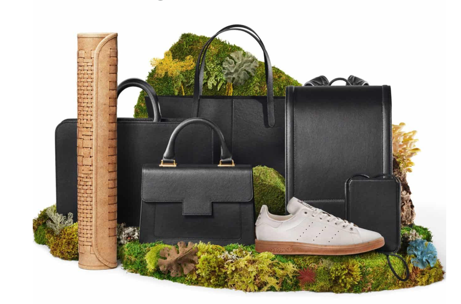 Fungal fashion products