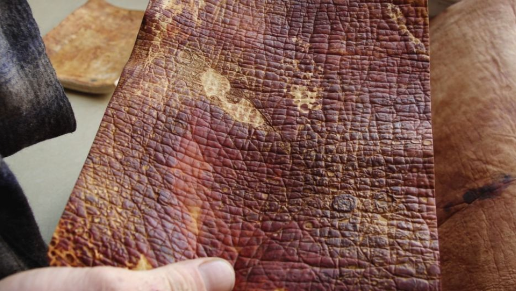 Leather-like fungal material