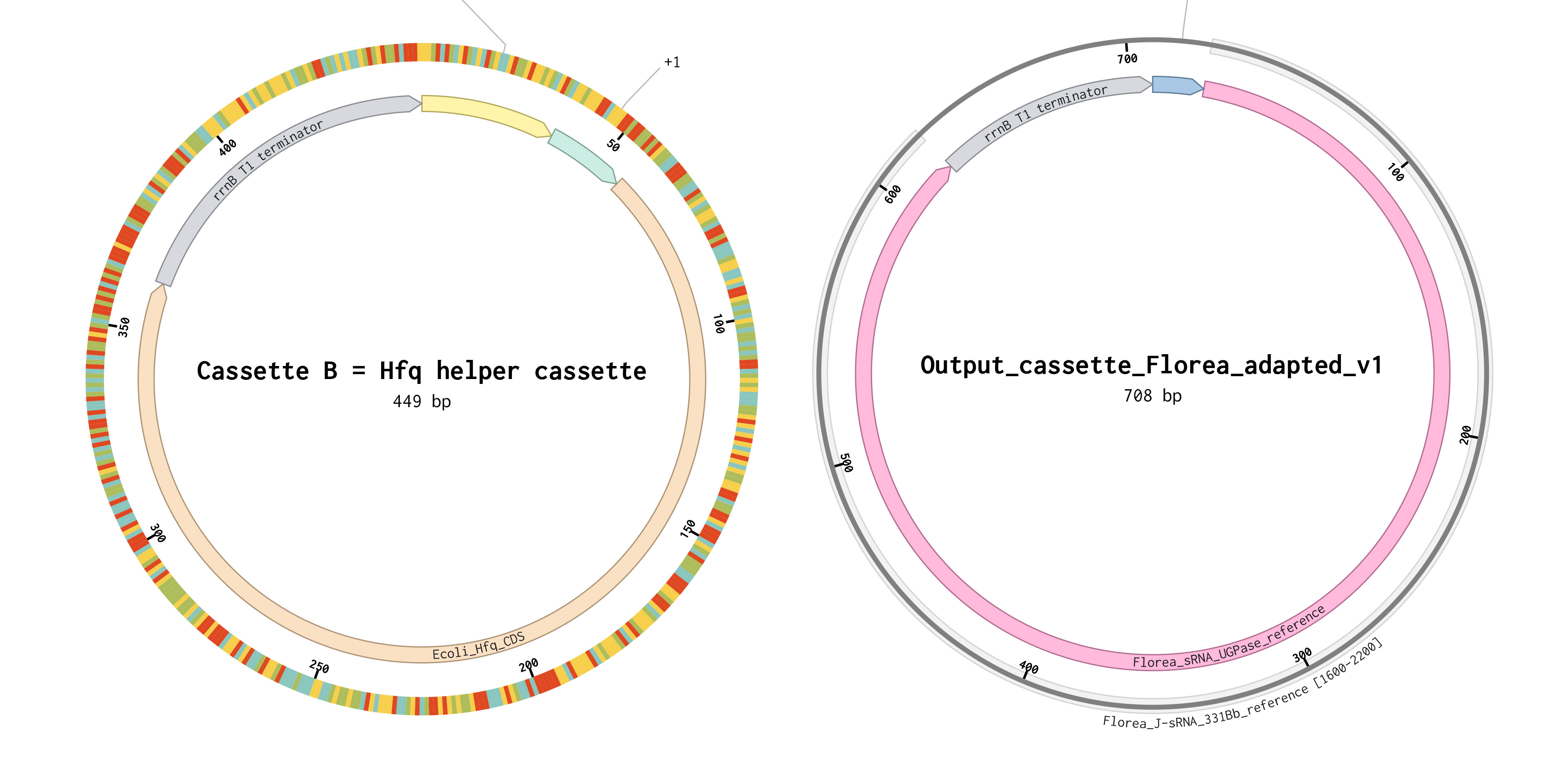 plasmids