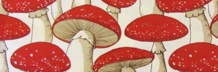 header3w5