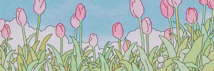w7header2.jpg