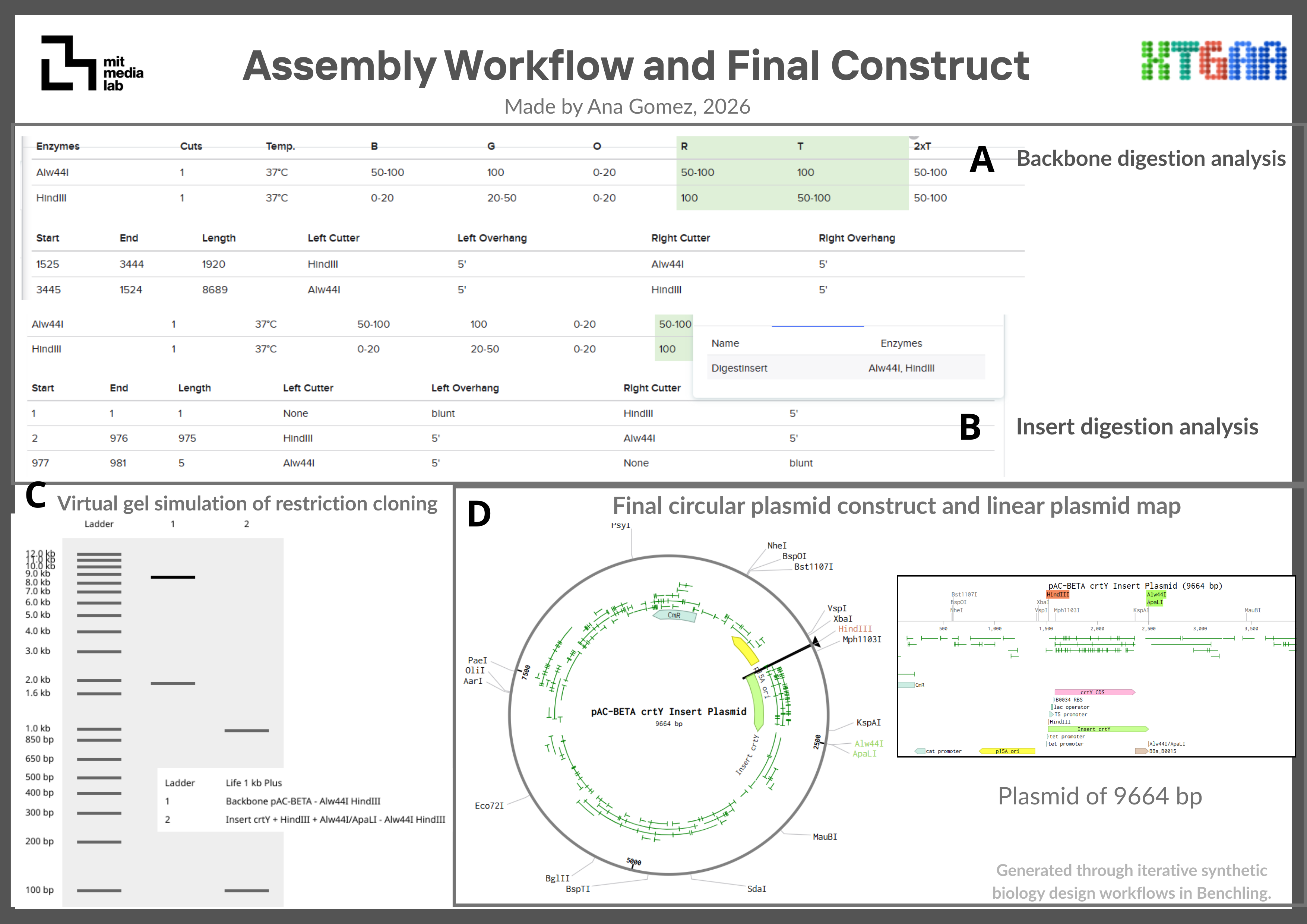 Wizardassemblyresults