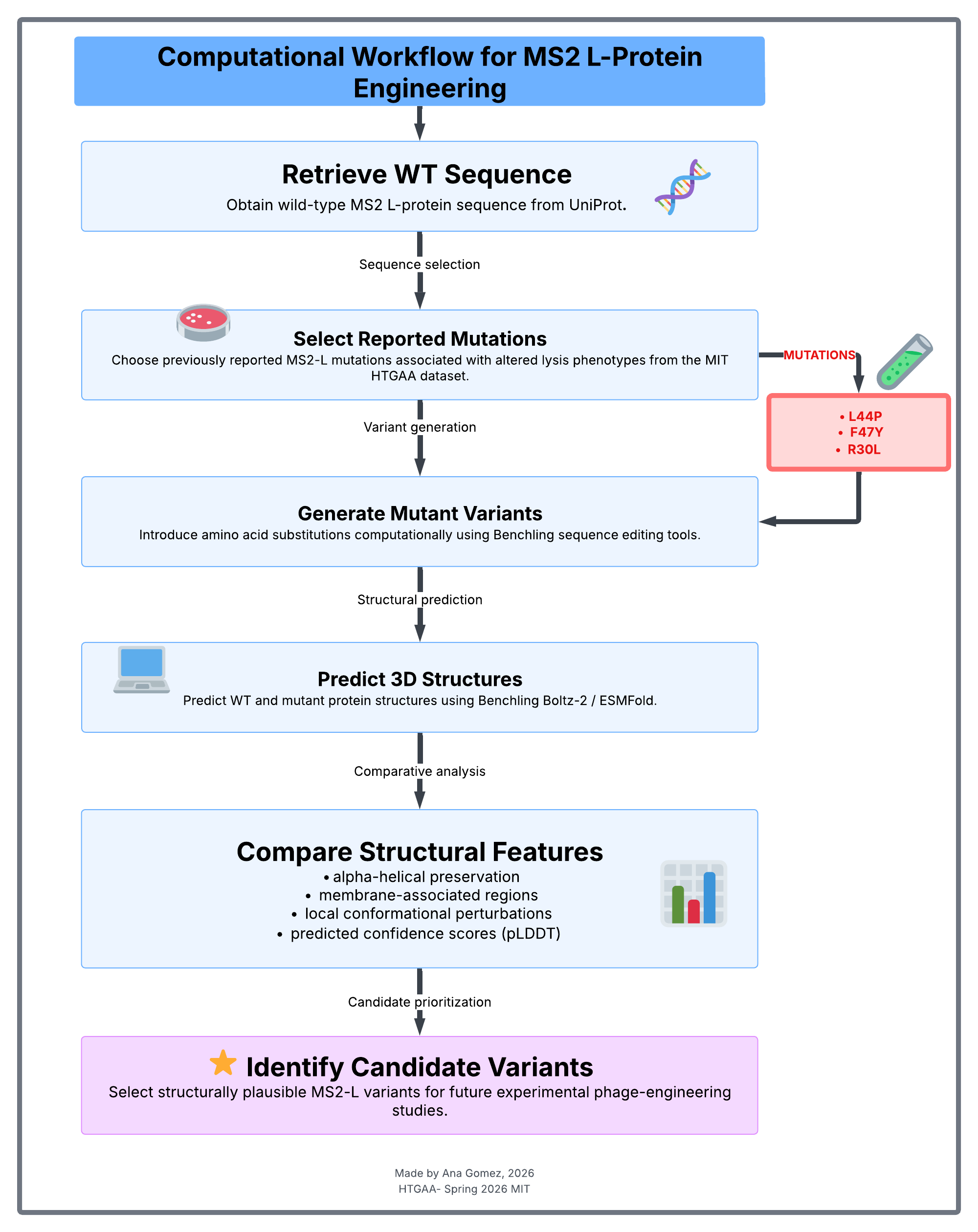 workflowms2