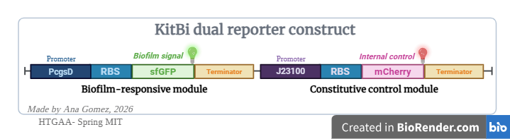 Kitbidualreporter.png