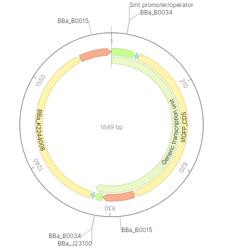 circularmapdualreporterkernel
