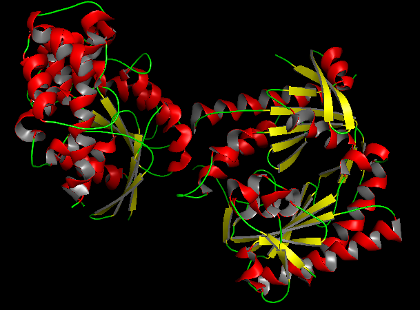 AC Colored By Secondary Structure