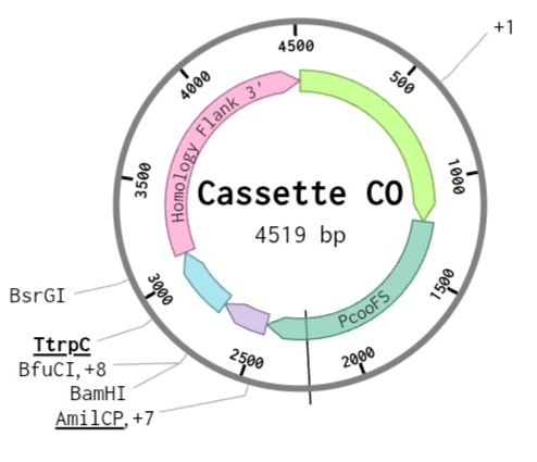 CO Sensor