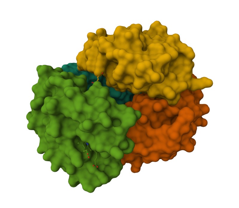 mol6