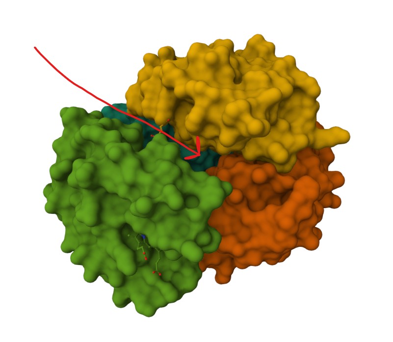 mol7