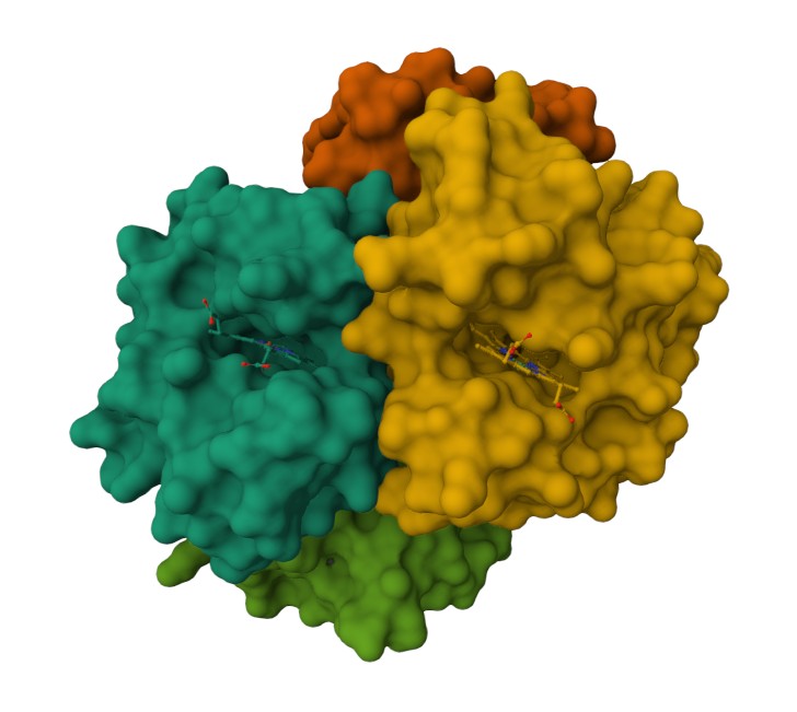 mol8