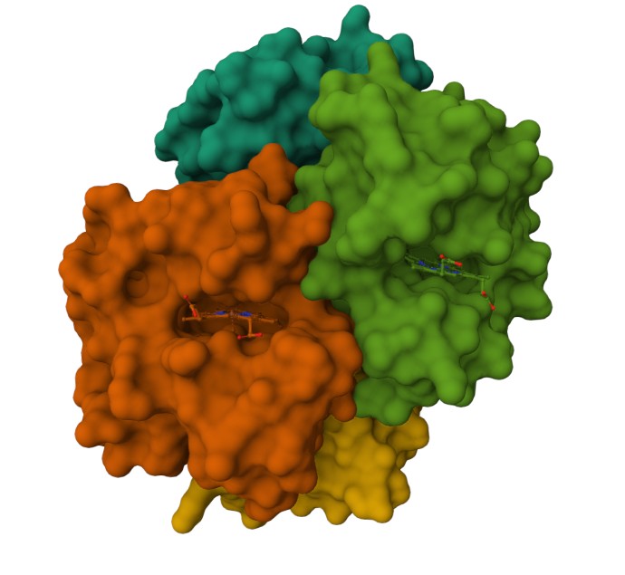 mol9